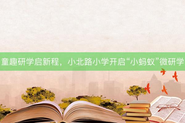 童趣研学启新程，小北路小学开启“小蚂蚁”微研学