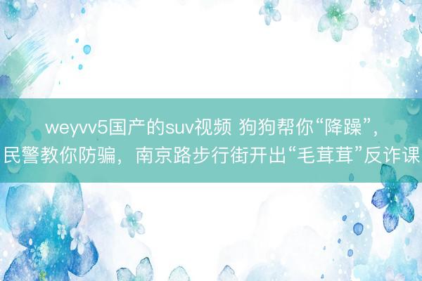 weyvv5国产的suv视频 狗狗帮你“降躁”，民警教你防骗，南京路步行街开出“毛茸茸”反诈课