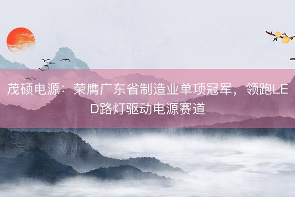 茂硕电源：荣膺广东省制造业单项冠军，领跑LED路灯驱动电源赛道