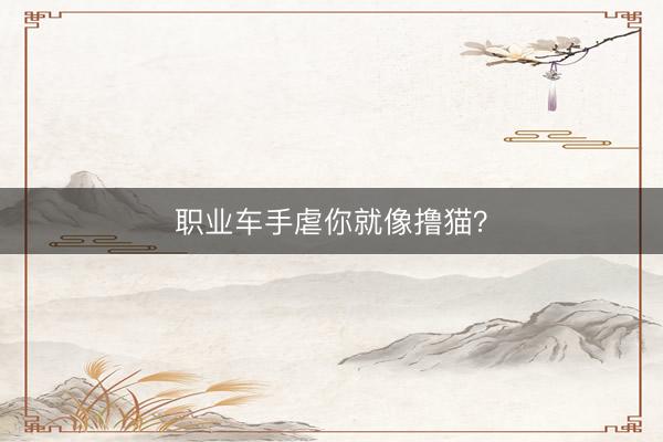 职业车手虐你就像撸猫？
