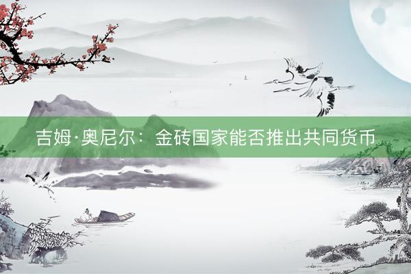 吉姆·奥尼尔：金砖国家能否推出共同货币