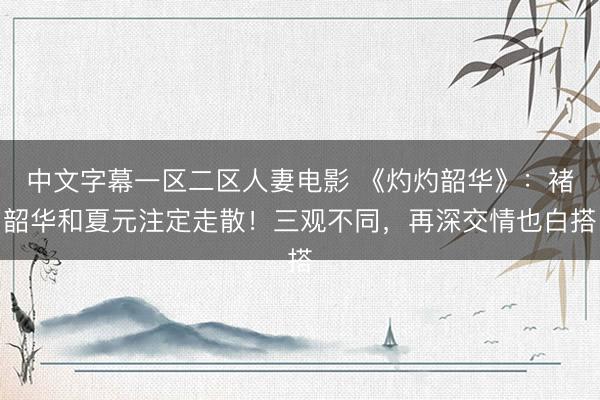 中文字幕一区二区人妻电影 《灼灼韶华》：褚韶华和夏元注定走散！三观不同，再深交情也白搭
