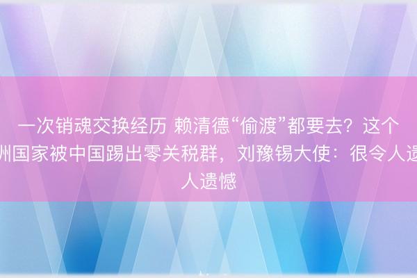 一次销魂交换经历 赖清德“偷渡”都要去？这个非洲国家被中国踢出零关税群，刘豫锡大使：很令人遗憾