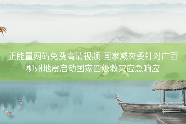 正能量网站免费高清视频 国家减灾委针对广西柳州地震启动国家四级救灾应急响应