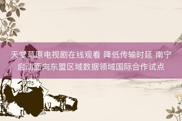 天堂草原电视剧在线观看 降低传输时延 南宁启动面向东盟区域数据领域国际合作试点