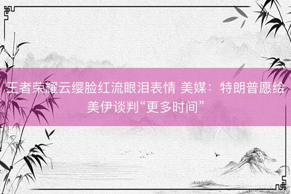 王者荣耀云缨脸红流眼泪表情 美媒：特朗普愿给美伊谈判“更多时间”