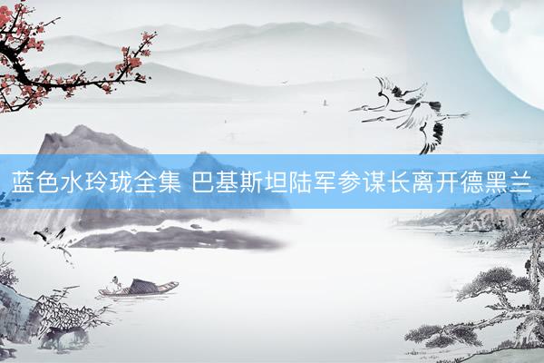 蓝色水玲珑全集 巴基斯坦陆军参谋长离开德黑兰