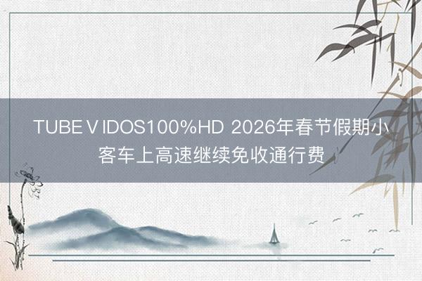 TUBEⅤIDOS100%HD 2026年春节假期小客车上高速继续免收通行费