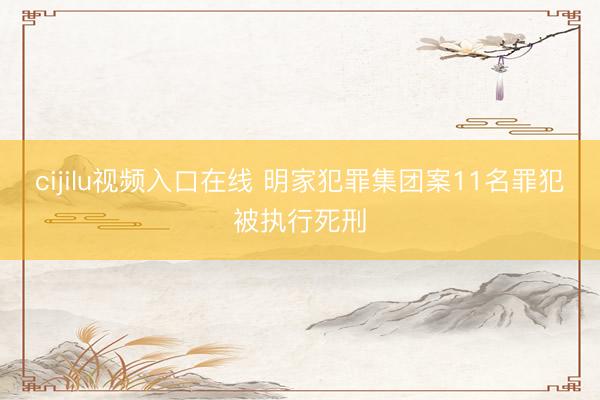 cijilu视频入口在线 明家犯罪集团案11名罪犯被执行死刑