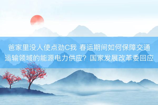 爸家里没人使点劲C我 春运期间如何保障交通运输领域的能源电力供应？国家发展改革委回应