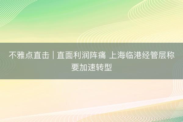 不雅点直击 | 直面利润阵痛 上海临港经管层称要加速转型