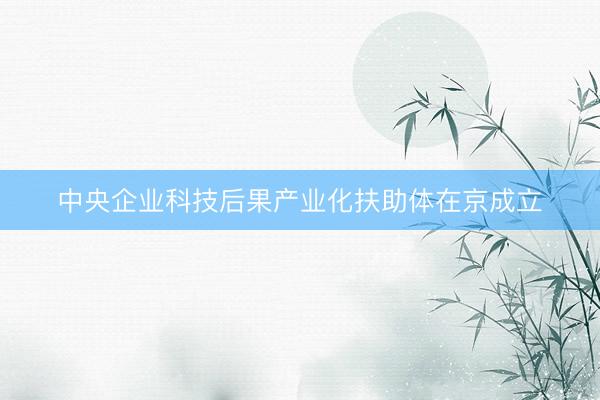 中央企业科技后果产业化扶助体在京成立