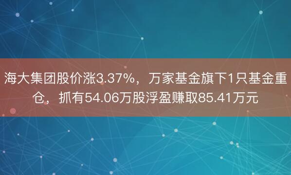 海大集团股价涨3.37%，万家基金旗下1只基金重仓，抓有54.06万股浮盈赚取85.41万元
