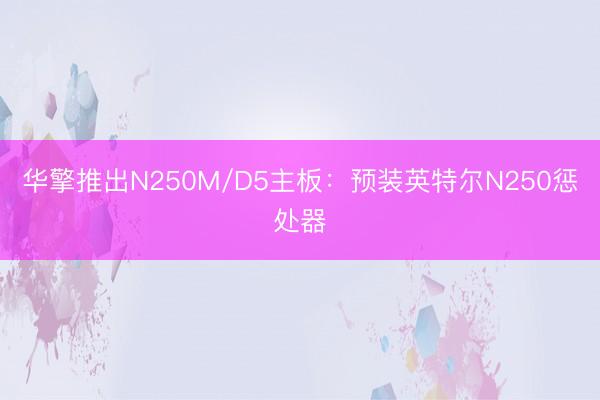 华擎推出N250M/D5主板：预装英特尔N250惩处器