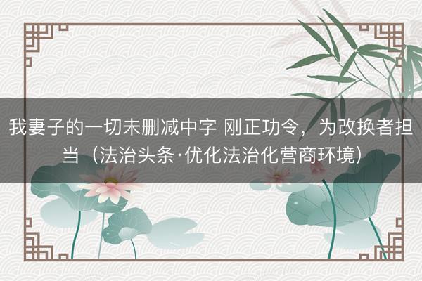 我妻子的一切未删减中字 刚正功令，为改换者担当（法治头条·优化法治化营商环境）