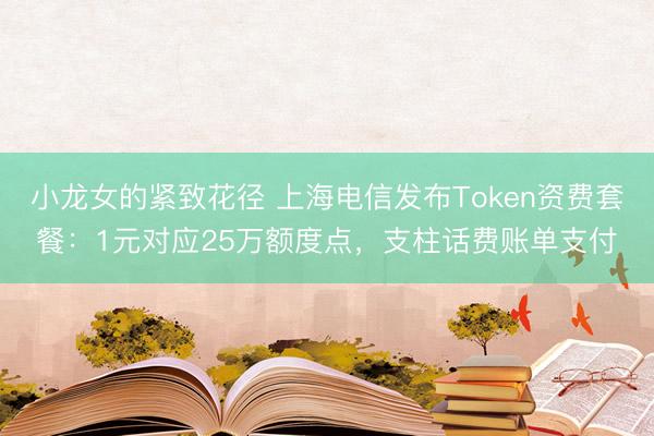 小龙女的紧致花径 上海电信发布Token资费套餐：1元对应25万额度点，支柱话费账单支付