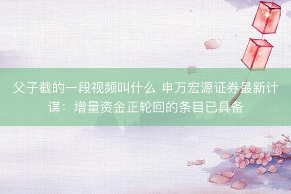 父子截的一段视频叫什么 申万宏源证券最新计谋：增量资金正轮回的条目已具备