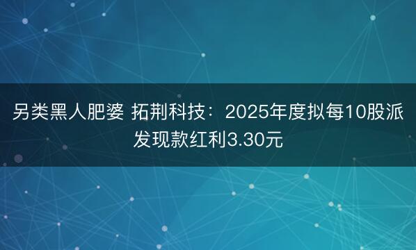 另类黑人肥婆 拓荆科技：2025年度拟每10股派发现款红利3.30元