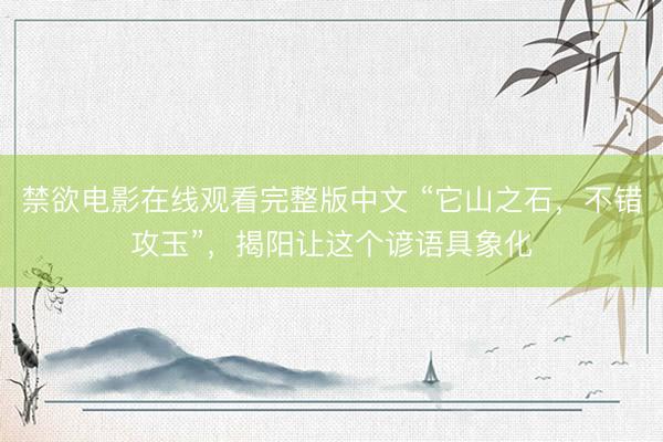 禁欲电影在线观看完整版中文 “它山之石，不错攻玉”，揭阳让这个谚语具象化