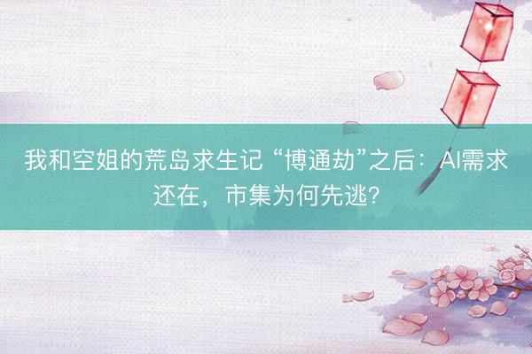 我和空姐的荒岛求生记 “博通劫”之后：AI需求还在，市集为何先逃？