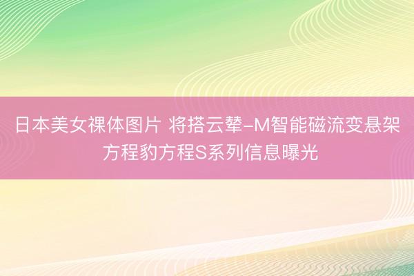 日本美女祼体图片 将搭云辇-M智能磁流变悬架 方程豹方程S系列信息曝光