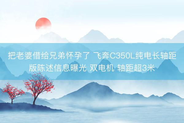 把老婆借给兄弟怀孕了 飞奔C350L纯电长轴距版陈述信息曝光 双电机 轴距超3米
