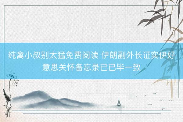 纯禽小叔别太猛免费阅读 伊朗副外长证实伊好意思关怀备忘录已已毕一致