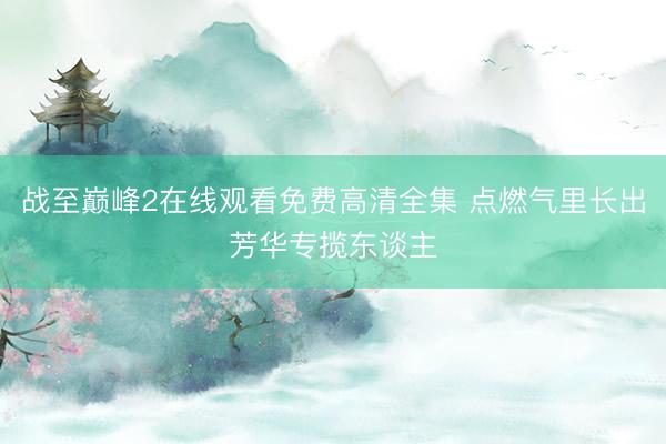 战至巅峰2在线观看免费高清全集 点燃气里长出芳华专揽东谈主