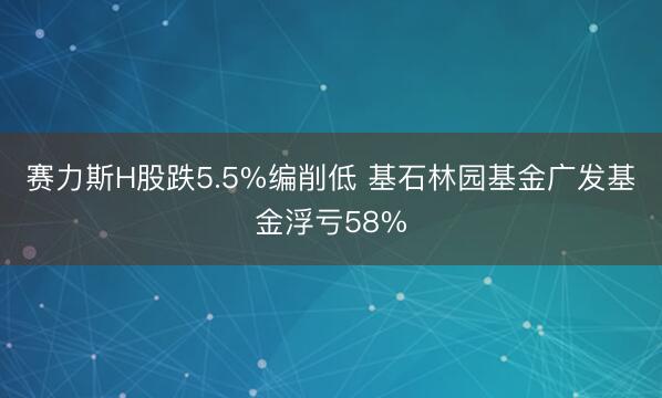 赛力斯H股跌5.5%编削低 基石林园基金广发基金浮亏58%