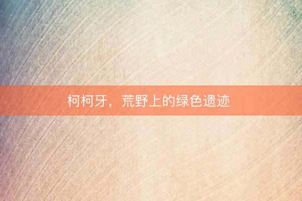 柯柯牙，荒野上的绿色遗迹 