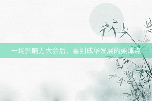 一场影响力大会后，看到成华发展的要津点