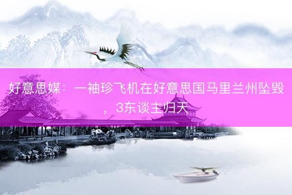 好意思媒：一袖珍飞机在好意思国马里兰州坠毁，3东谈主归天